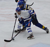 DSC_0416.jpg