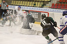 IMG_5541.JPG