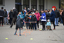 DSC_0726.JPG